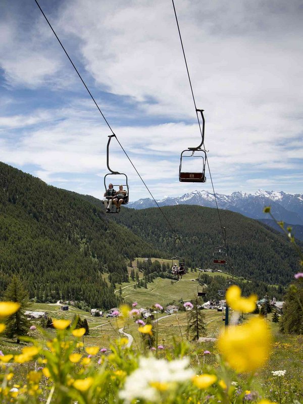 Chamois: der Zufluchtsort