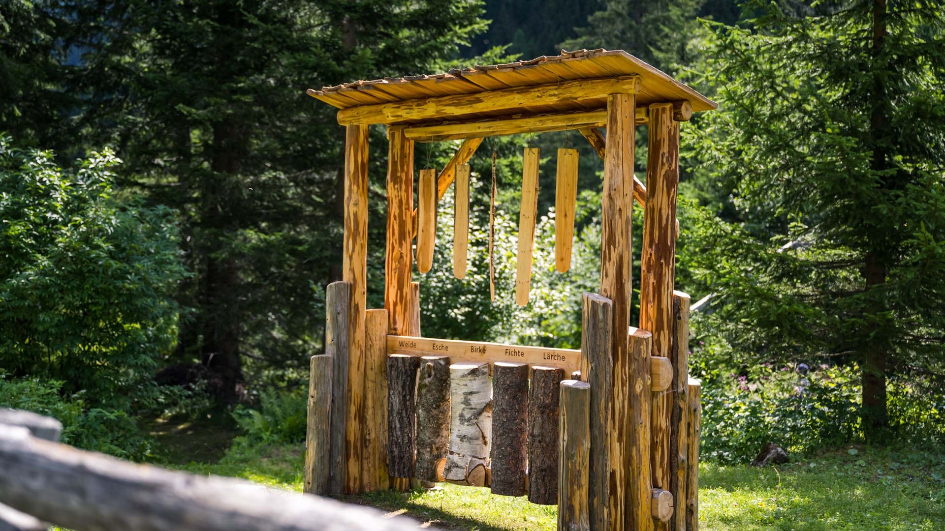 Sanfter Ökotourismus in den Alpen in Bildern