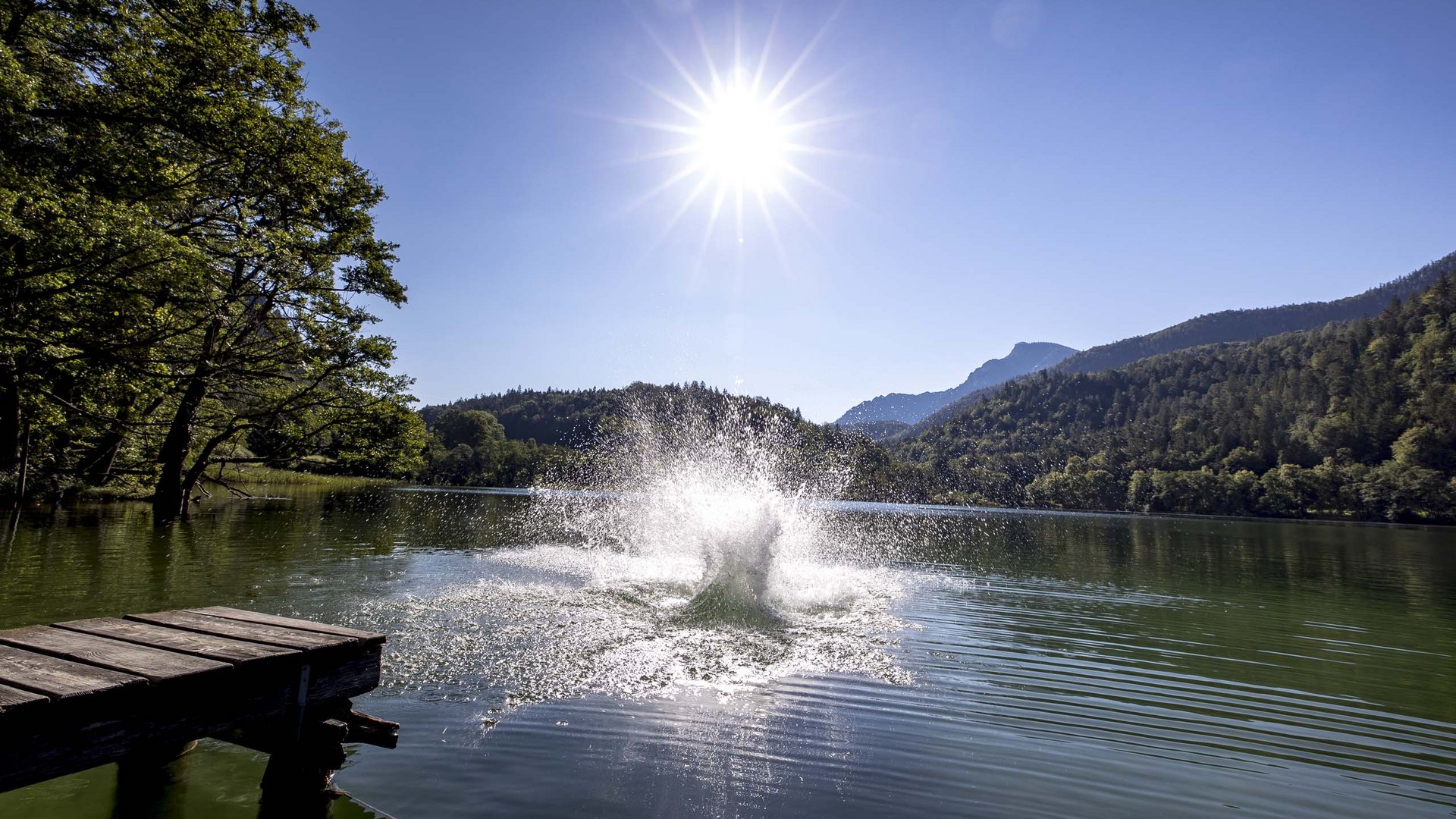 Pictures of gentle eco-tourism in the Alps