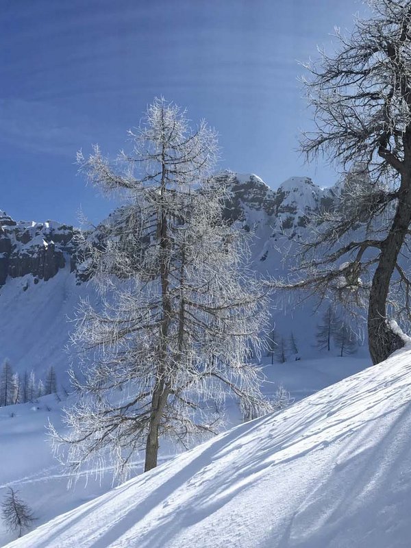 Forni di Sopra, gioiello della natura