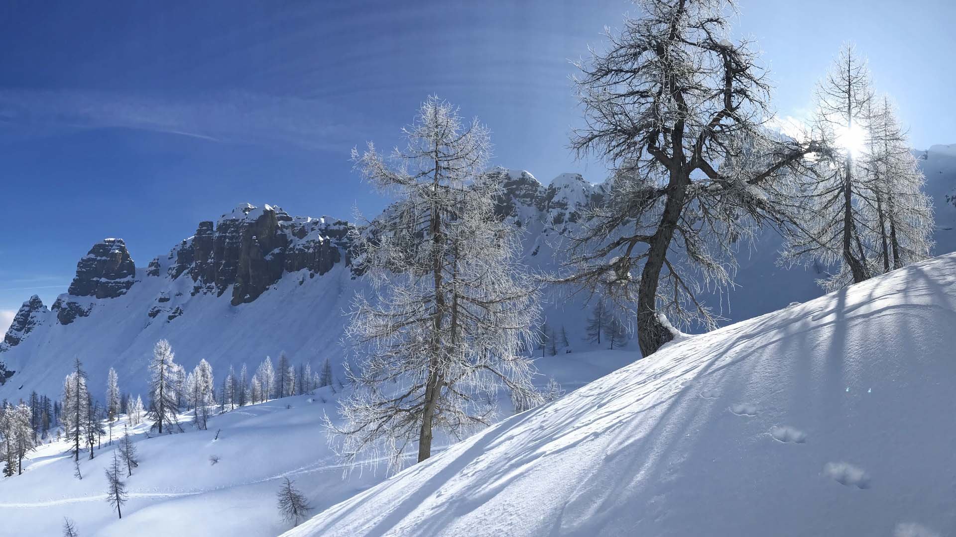 Pictures of gentle eco-tourism in the Alps