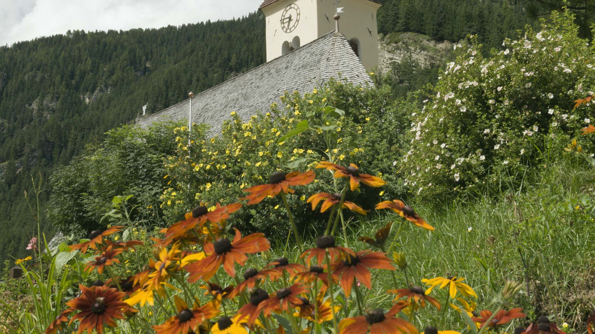 Pictures of gentle eco-tourism in the Alps