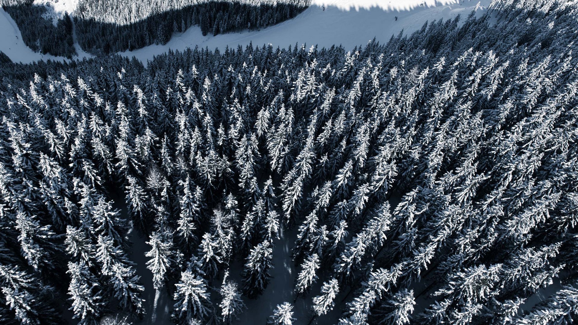 Pictures of gentle eco-tourism in the Alps