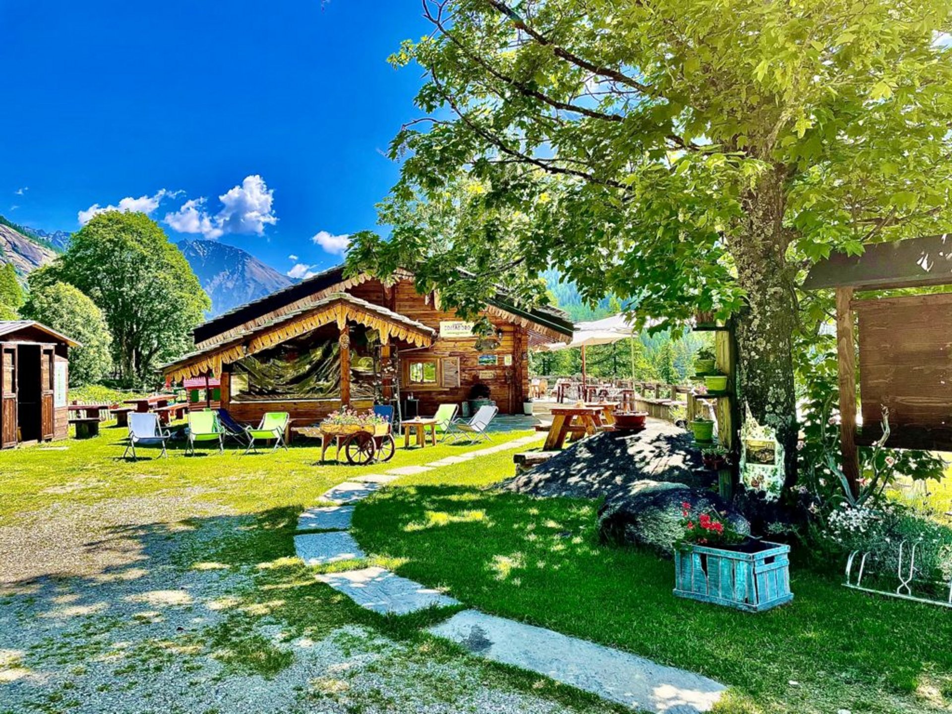 Ceresole Reale, il regno dello stambecco