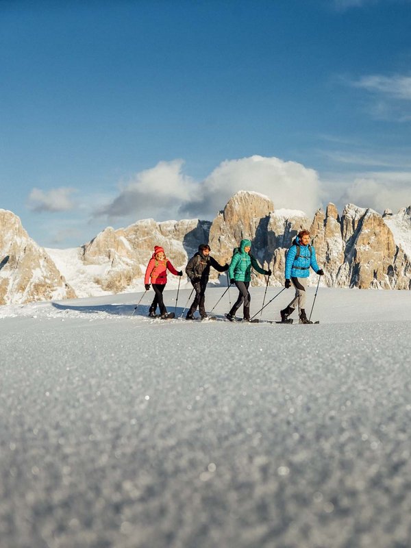 Dolomitic beauty in Primiero San Martino di Castrozza