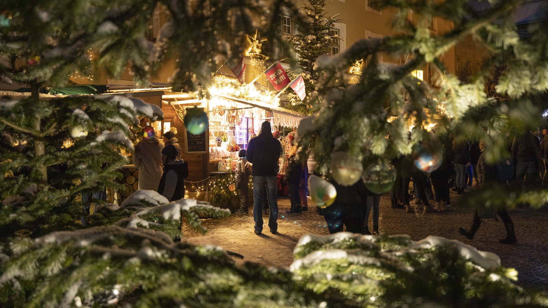 Sanfter Ökotourismus in den Alpen in Bildern