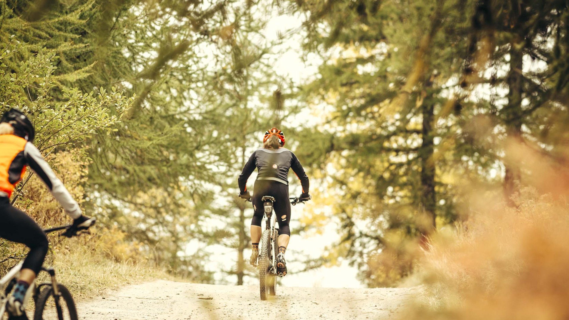 Pictures of gentle eco-tourism in the Alps