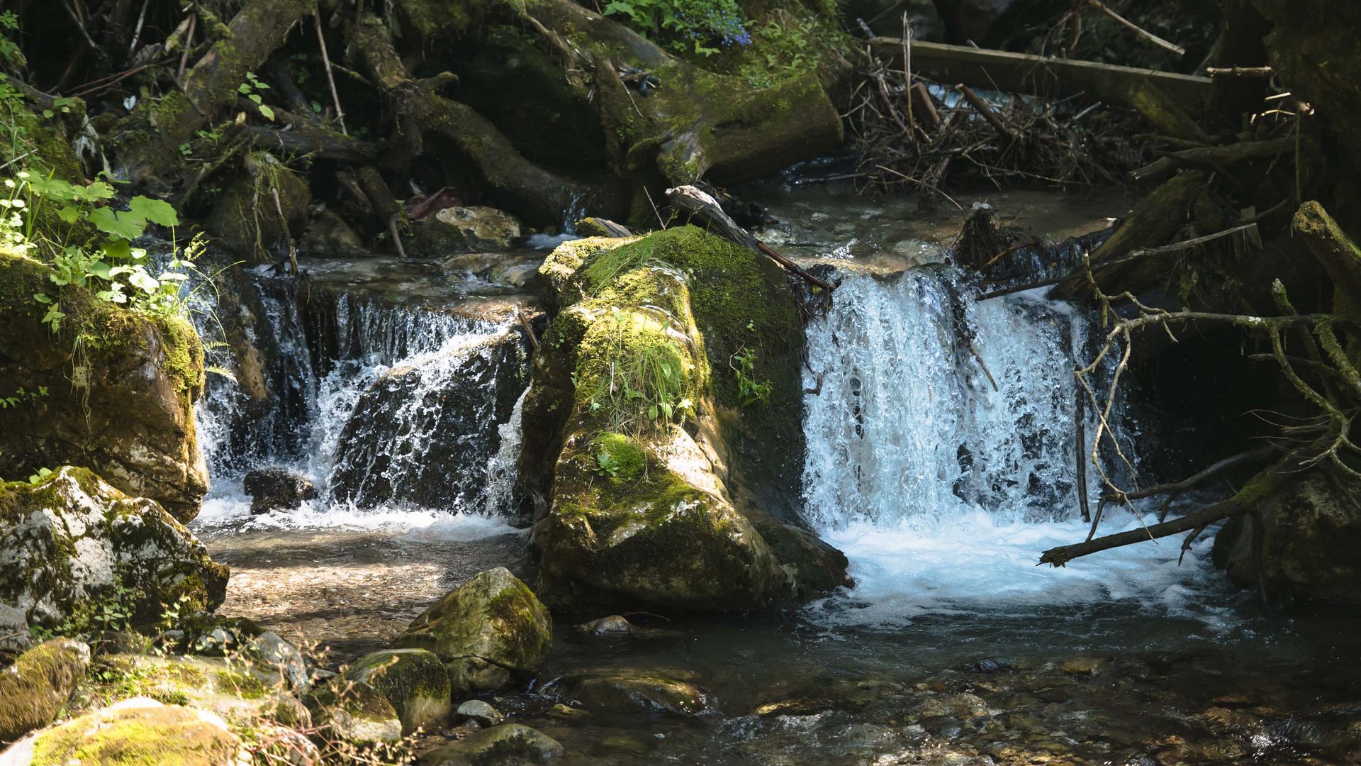 Pictures of gentle eco-tourism in the Alps