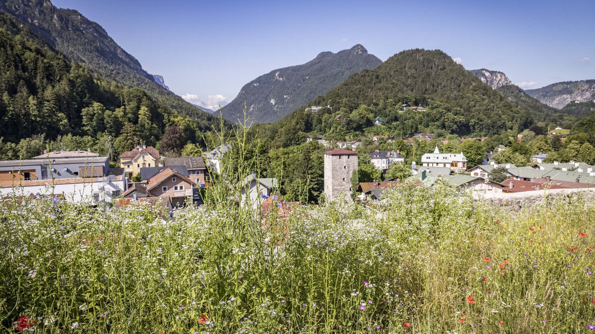 Sanfter Ökotourismus in den Alpen in Bildern