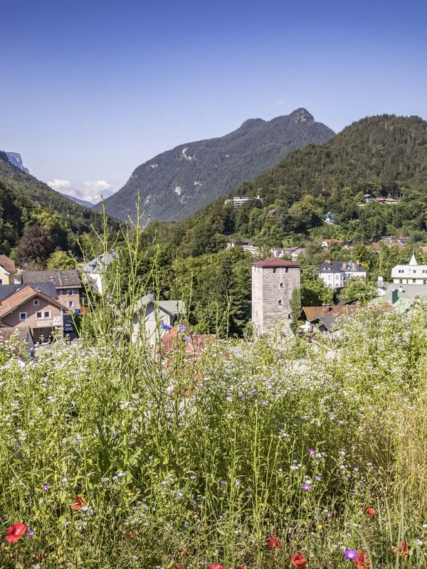 A holiday without your car in Germany