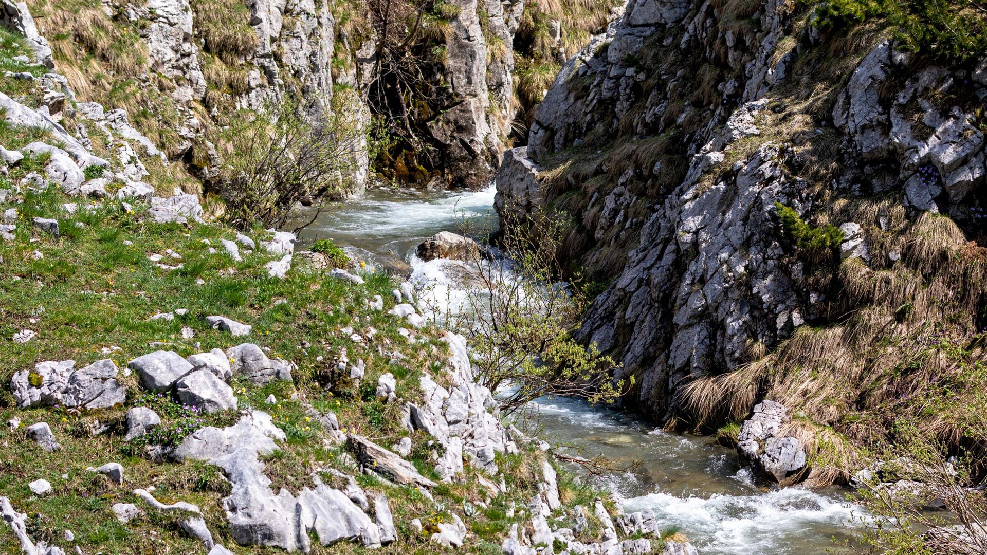 Sanfter Ökotourismus in den Alpen in Bildern