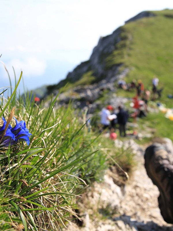 Bohinj: a real treasure trove