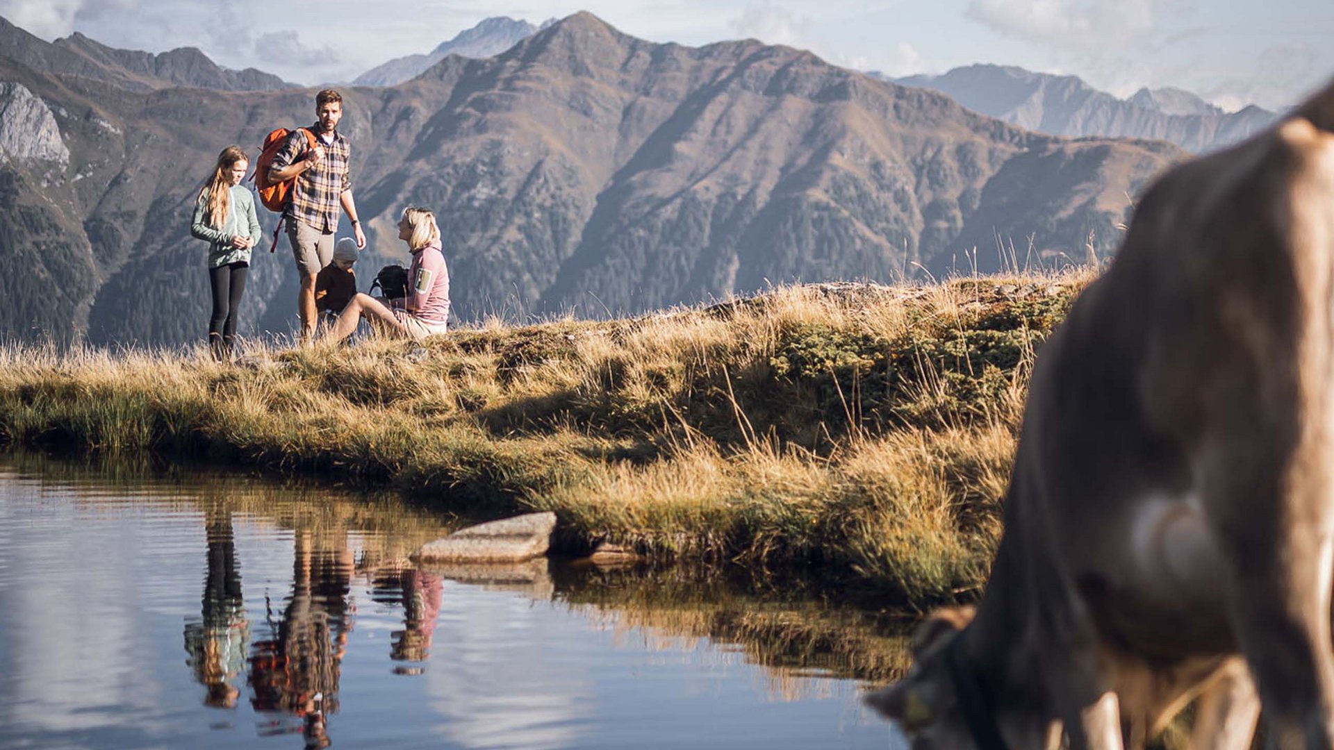 Pictures of gentle eco-tourism in the Alps