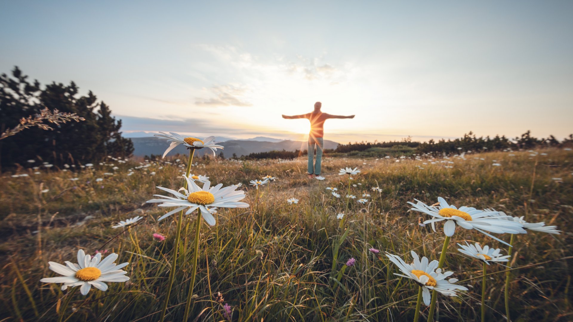 Pictures of gentle eco-tourism in the Alps