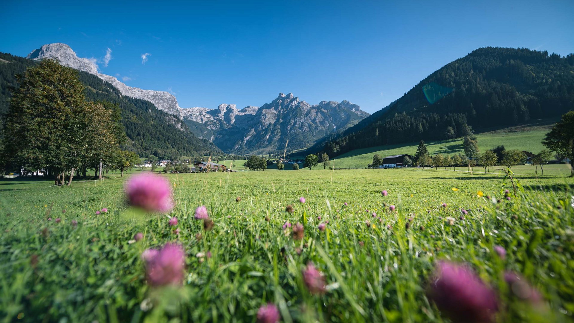 Sanfter Ökotourismus in den Alpen in Bildern