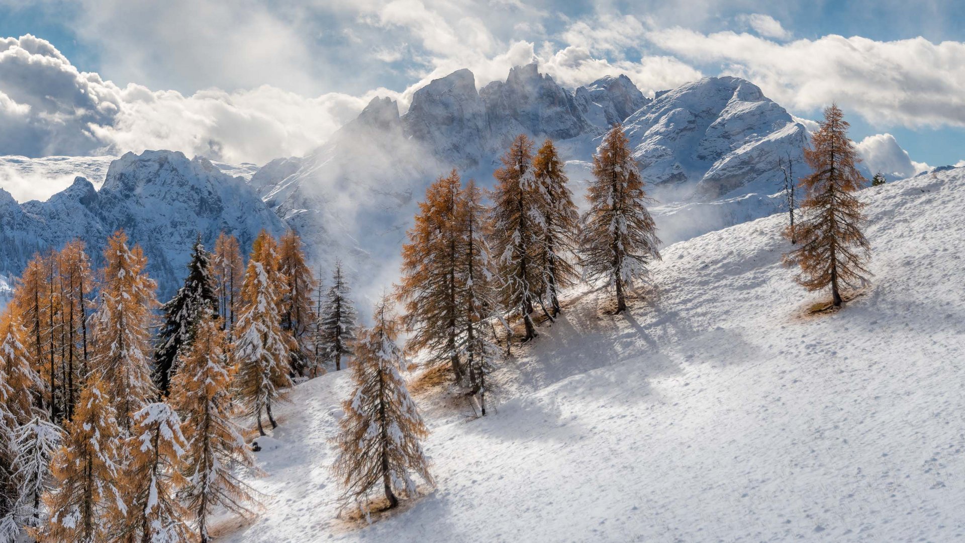 Pictures of gentle eco-tourism in the Alps