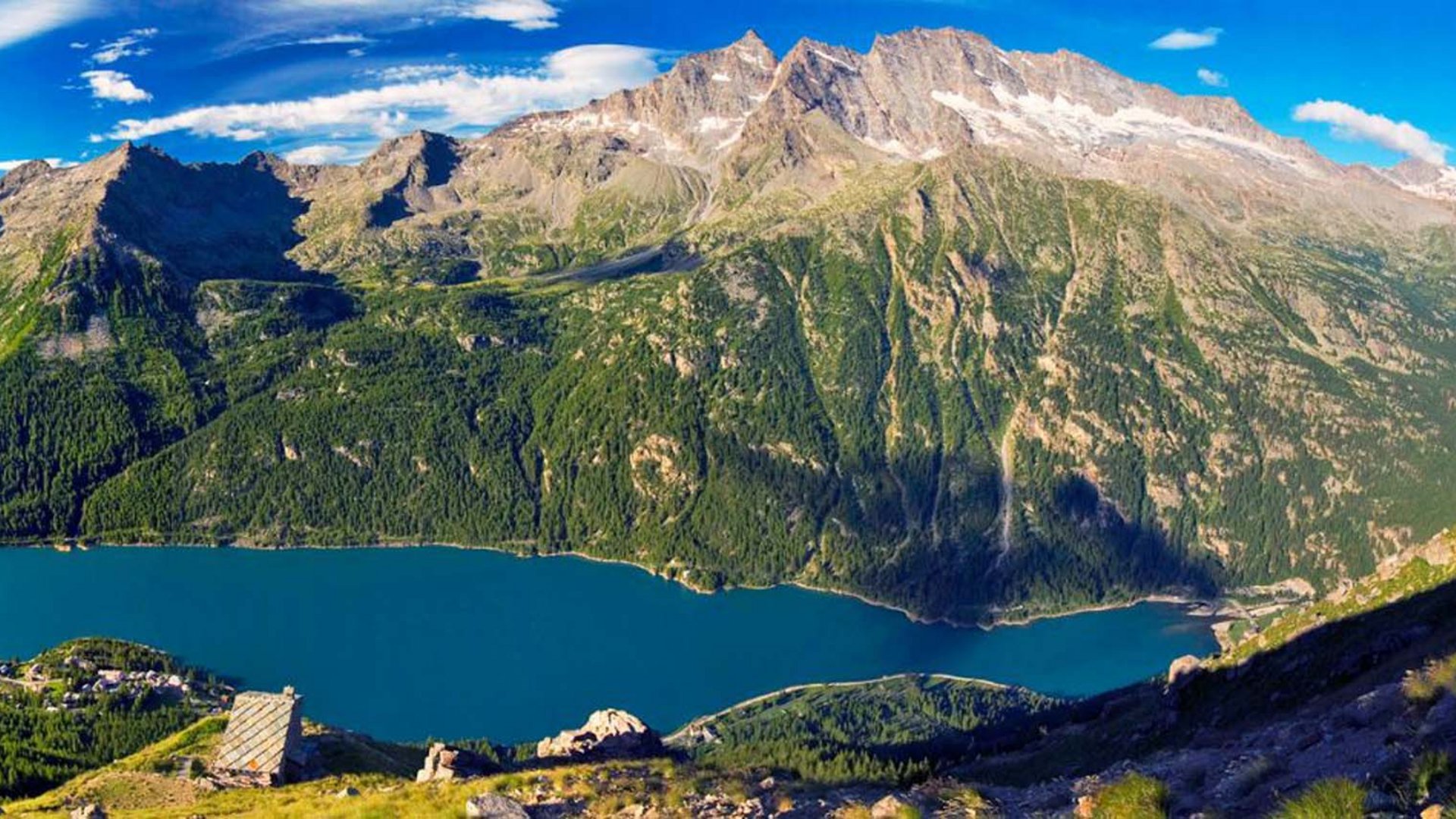 Ceresole Reale, il regno dello stambecco