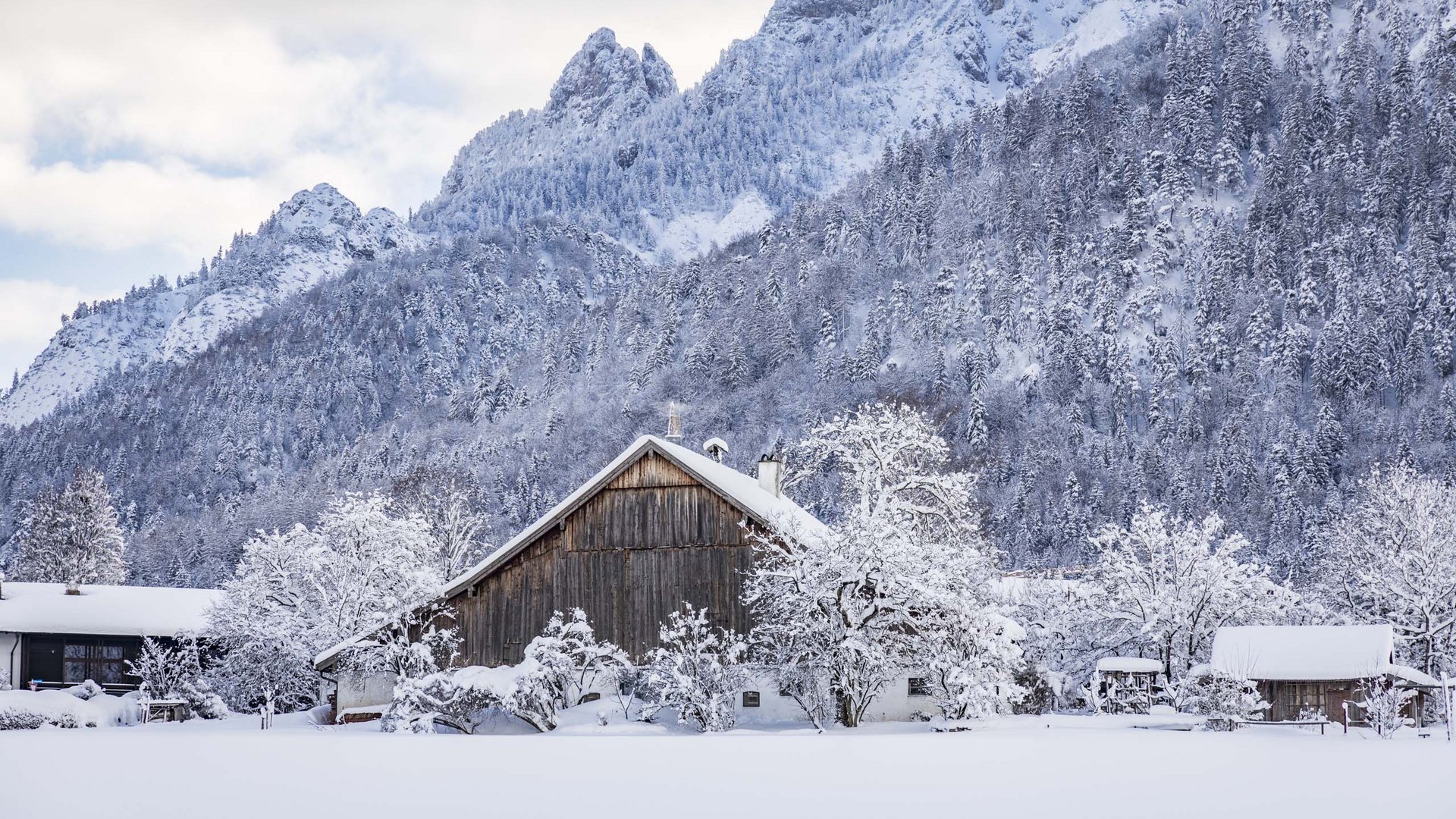 Sanfter Ökotourismus in den Alpen in Bildern