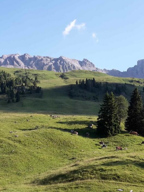 Moena magica, tra laghi incantati e vita contadina