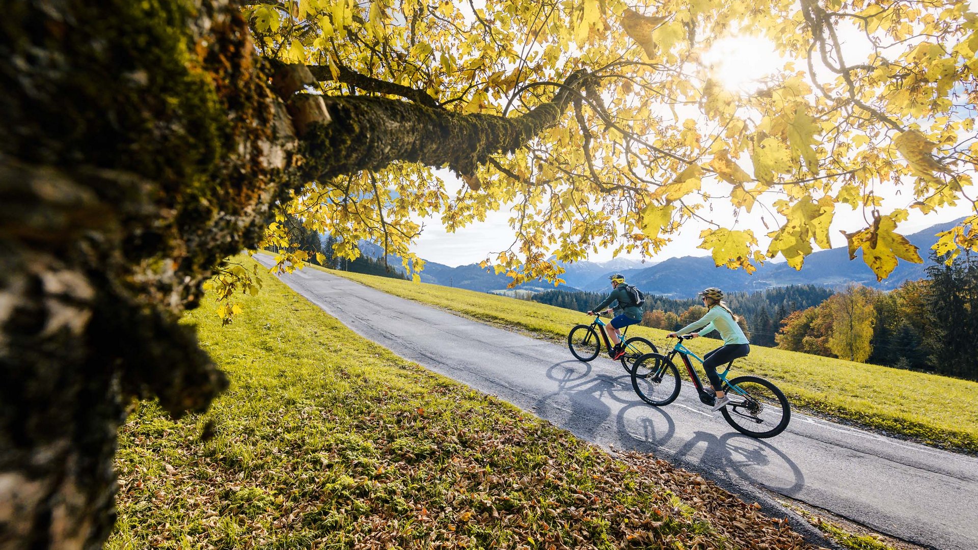 Pictures of gentle eco-tourism in the Alps