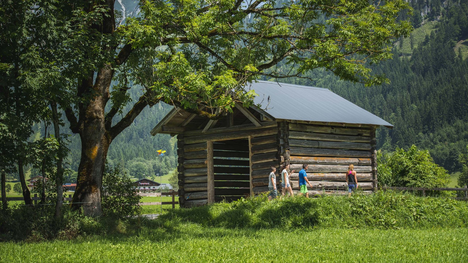 Pictures of gentle eco-tourism in the Alps