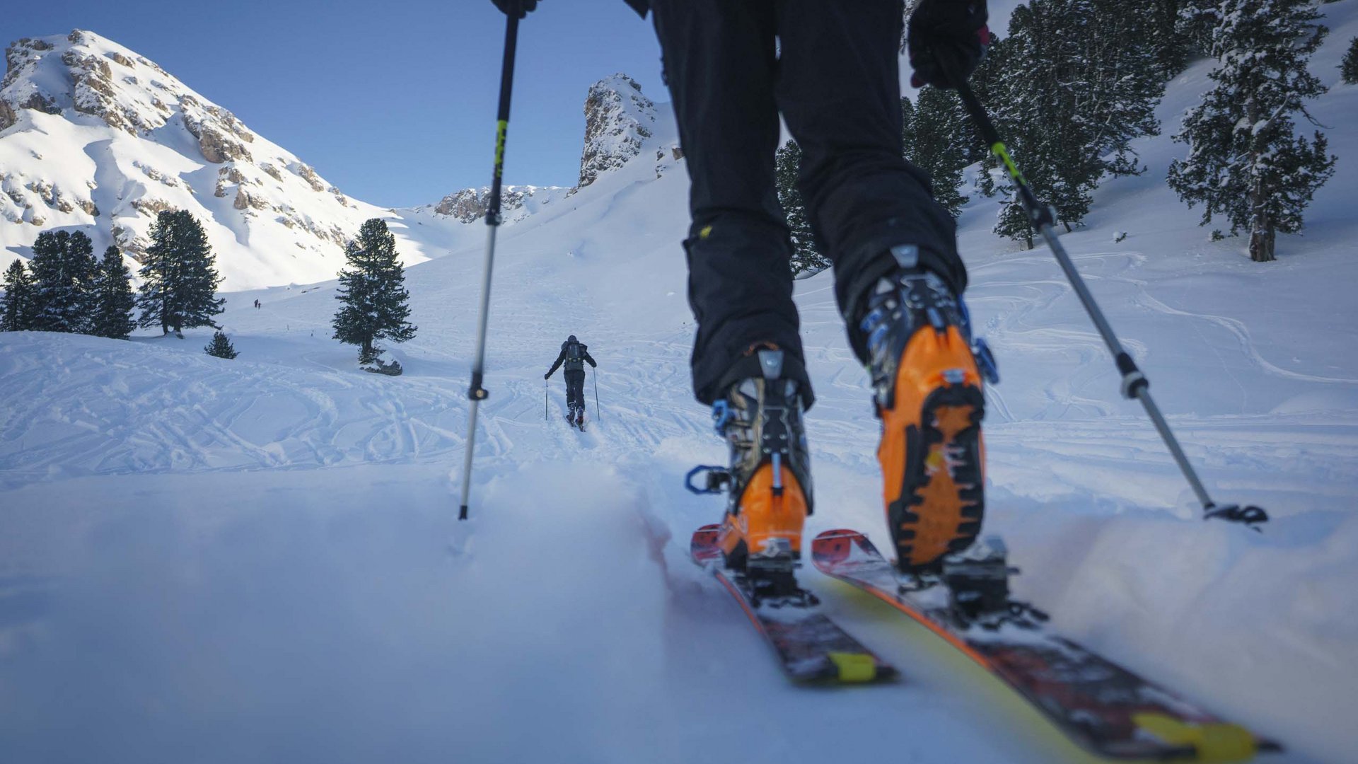 Pictures of gentle eco-tourism in the Alps