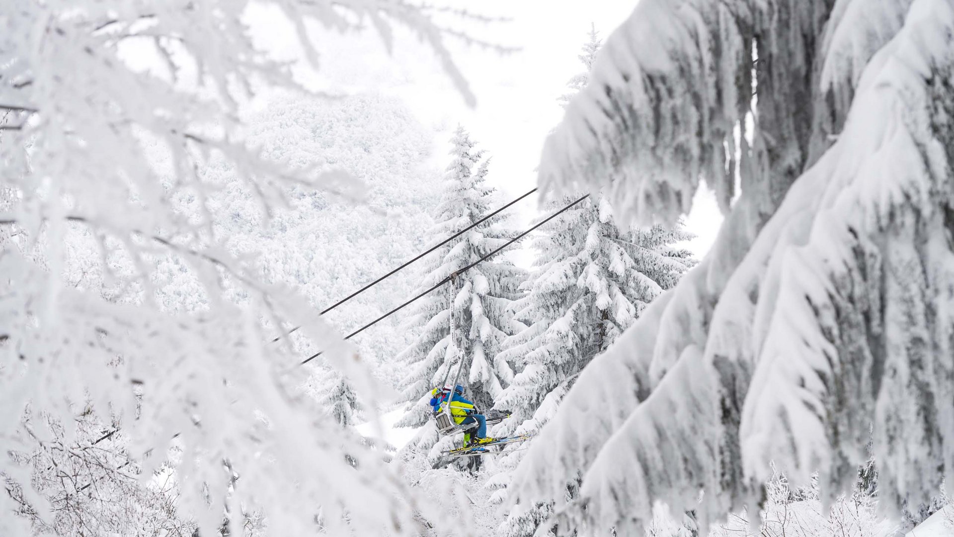 Pictures of gentle eco-tourism in the Alps