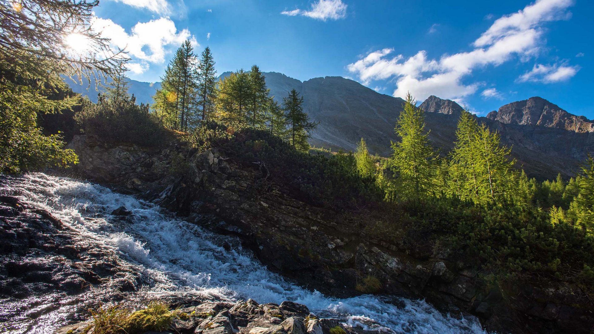 Pictures of gentle eco-tourism in the Alps