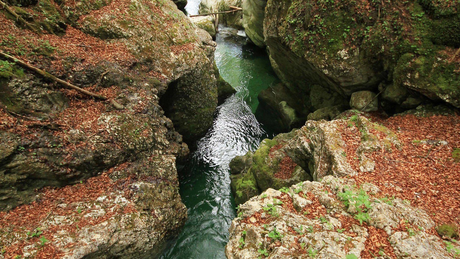 Pictures of gentle eco-tourism in the Alps