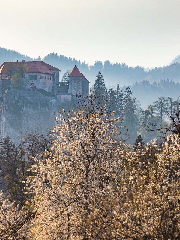 Vacanze in Slovenia senza auto