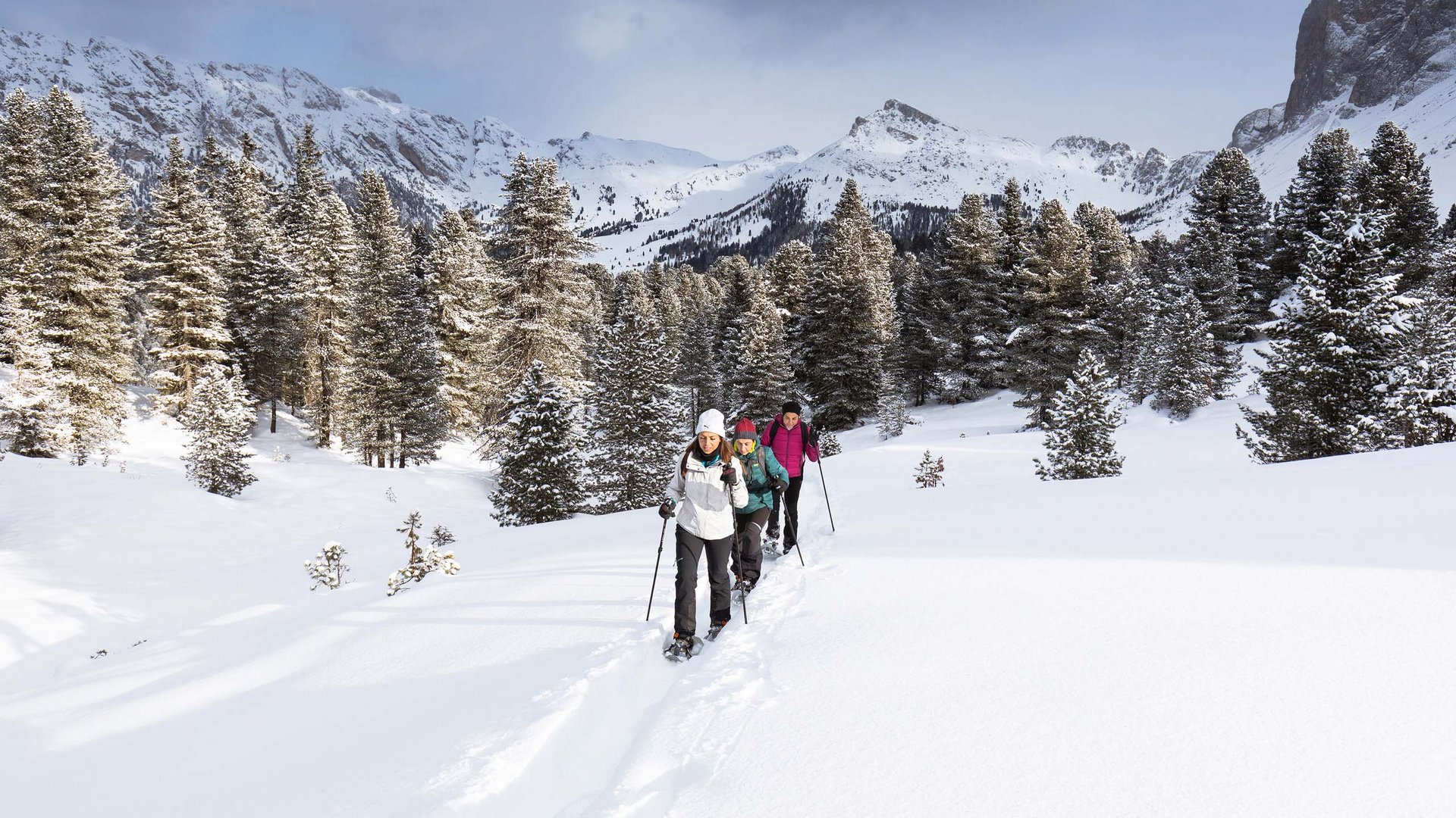 Pictures of gentle eco-tourism in the Alps