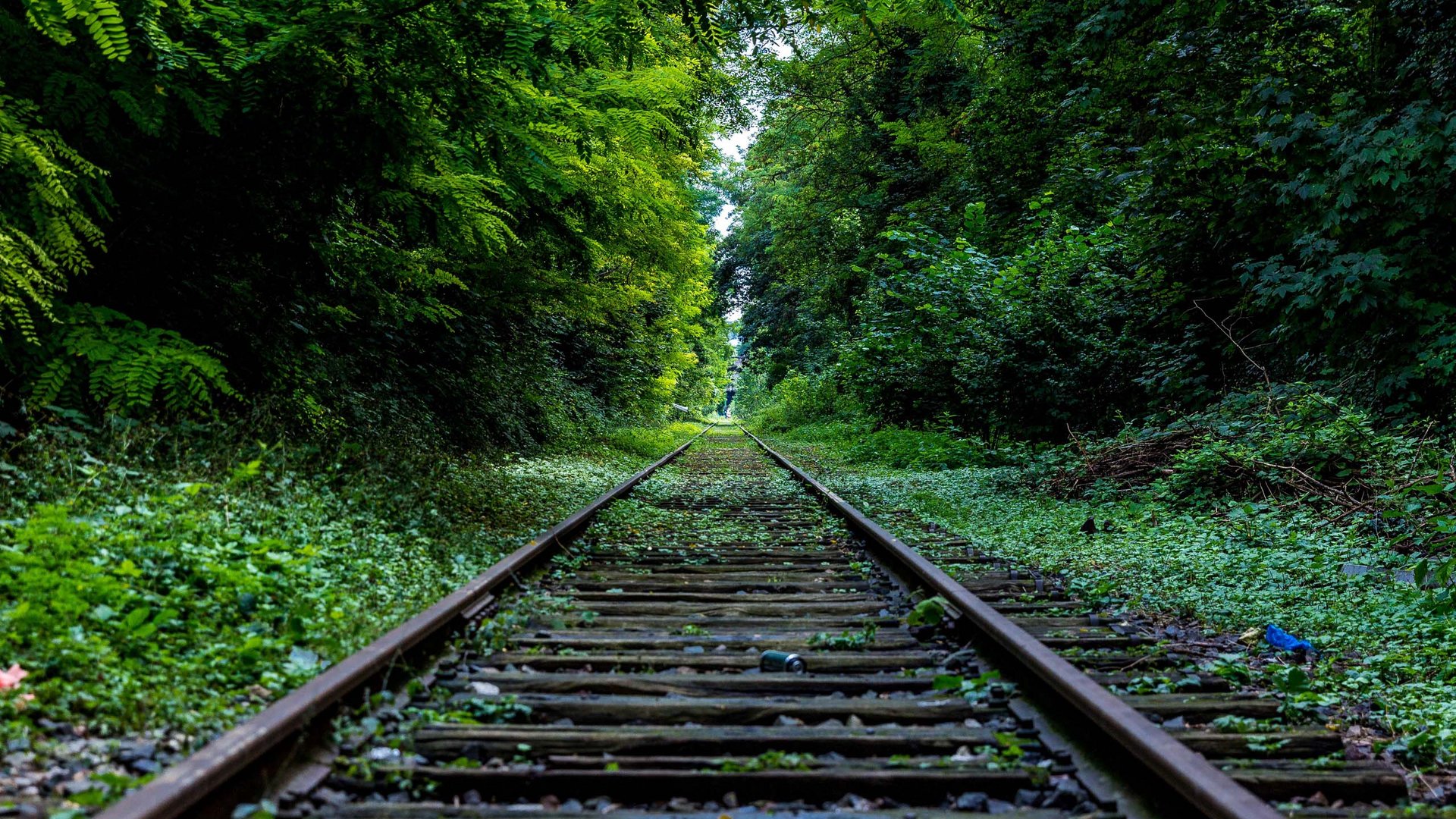 Viaggiare in treno è viaggiare sostenibili