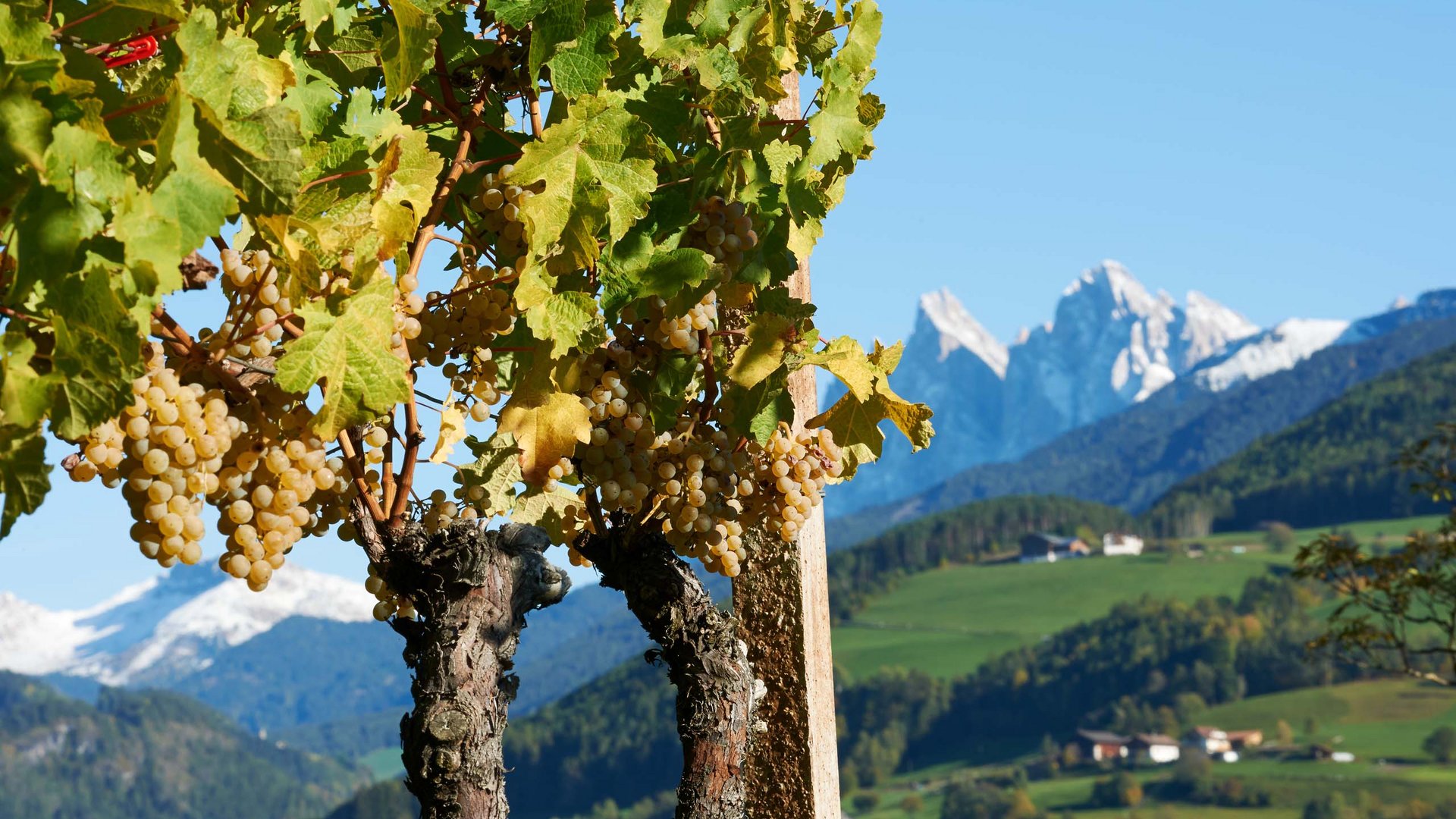 Pictures of gentle eco-tourism in the Alps