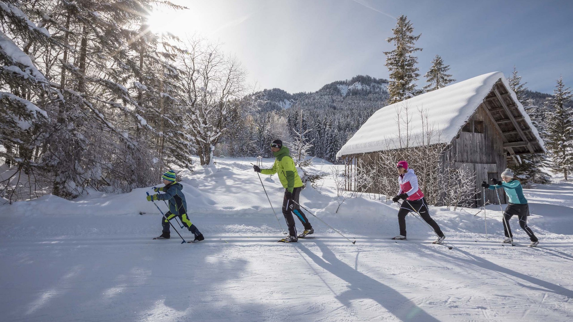 Pictures of gentle eco-tourism in the Alps