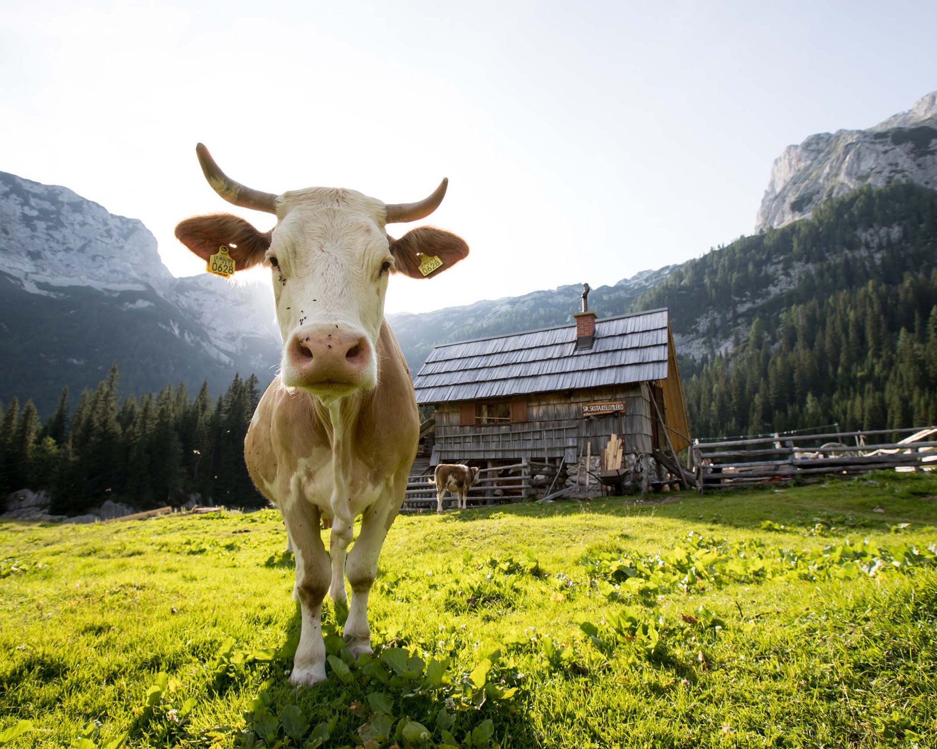 Umweltfreundlichen Tourismus im Fokus