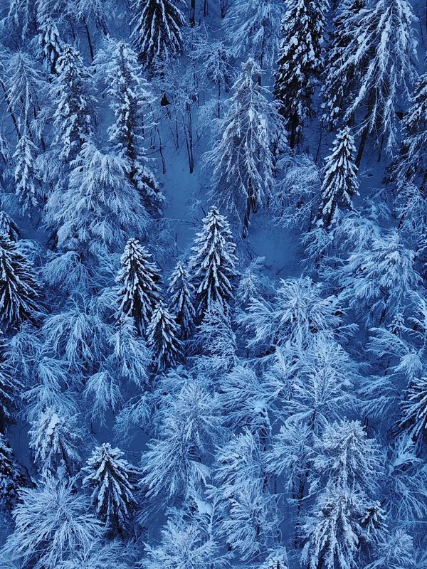 Forni di Sopra, gioiello della natura