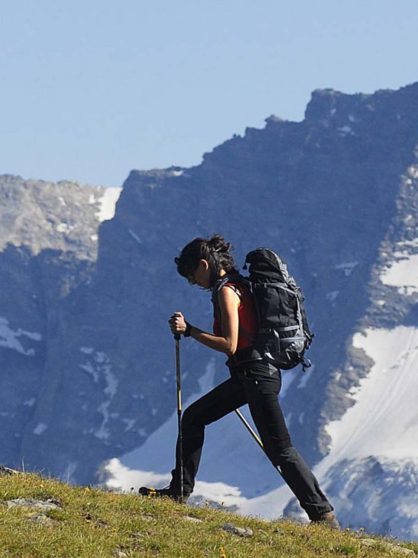 Ceresole Reale, il regno dello stambecco