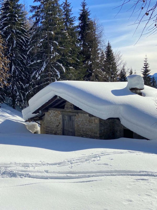 Forni di Sopra, gioiello della natura