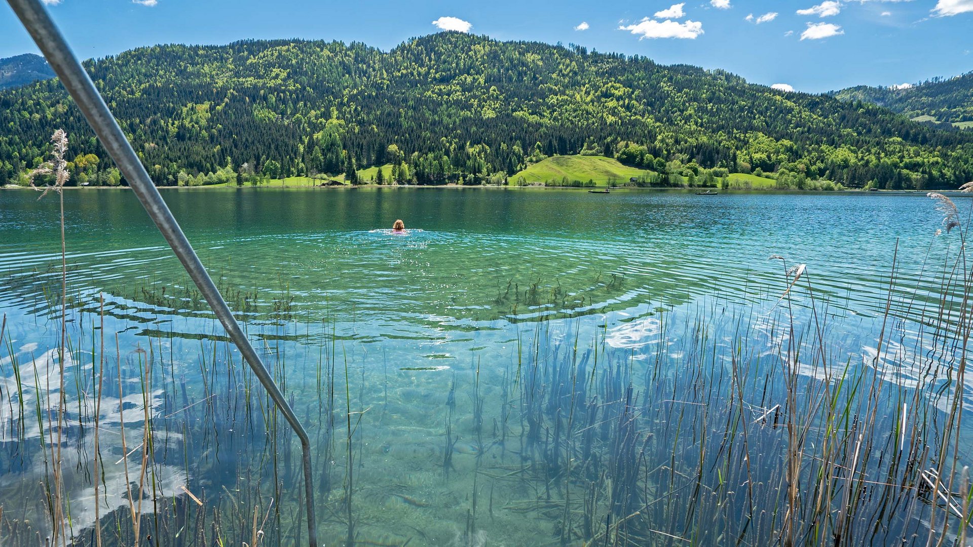 Sanfter Ökotourismus in den Alpen in Bildern