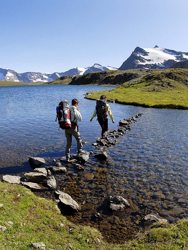 Ceresole Reale, il regno dello stambecco