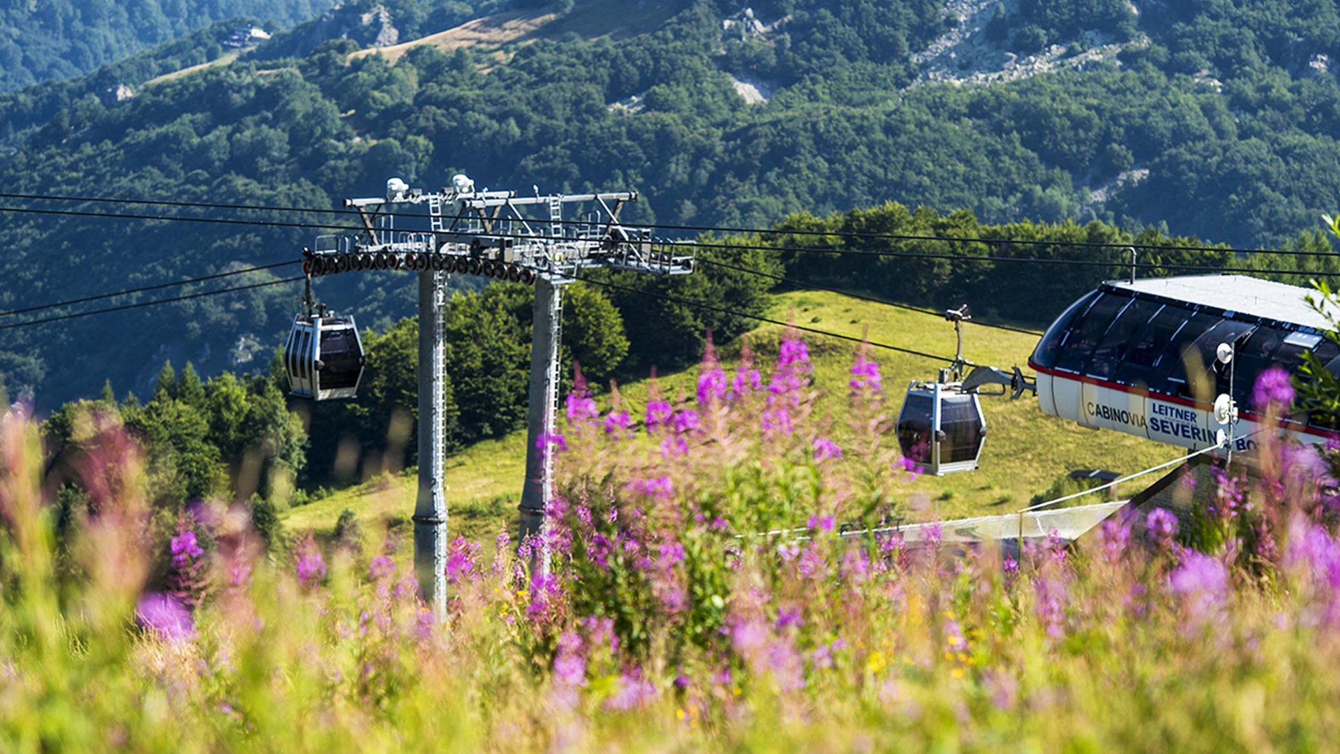 Pictures of gentle eco-tourism in the Alps