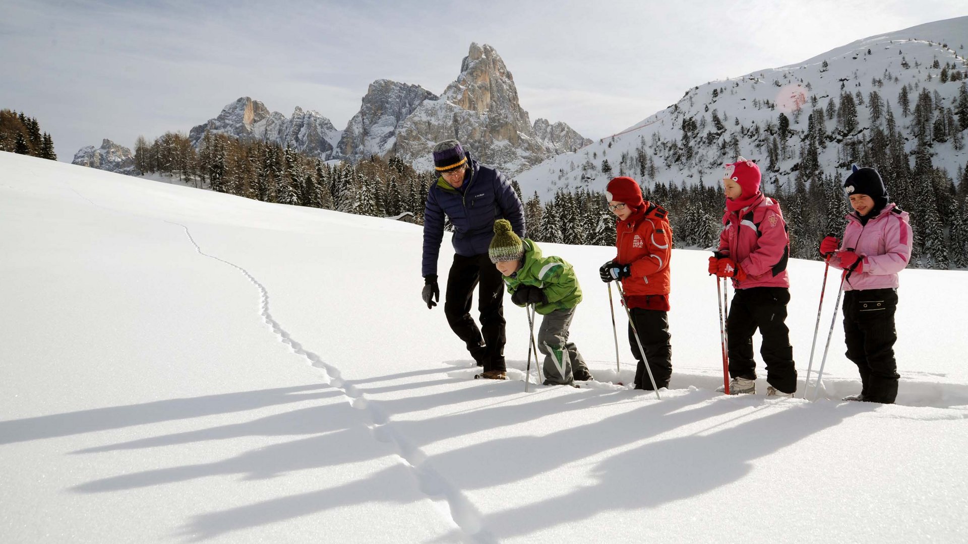 Pictures of gentle eco-tourism in the Alps