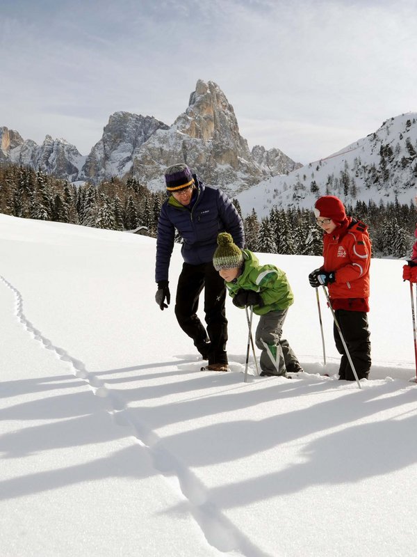 Dolomitic beauty in Primiero San Martino di Castrozza