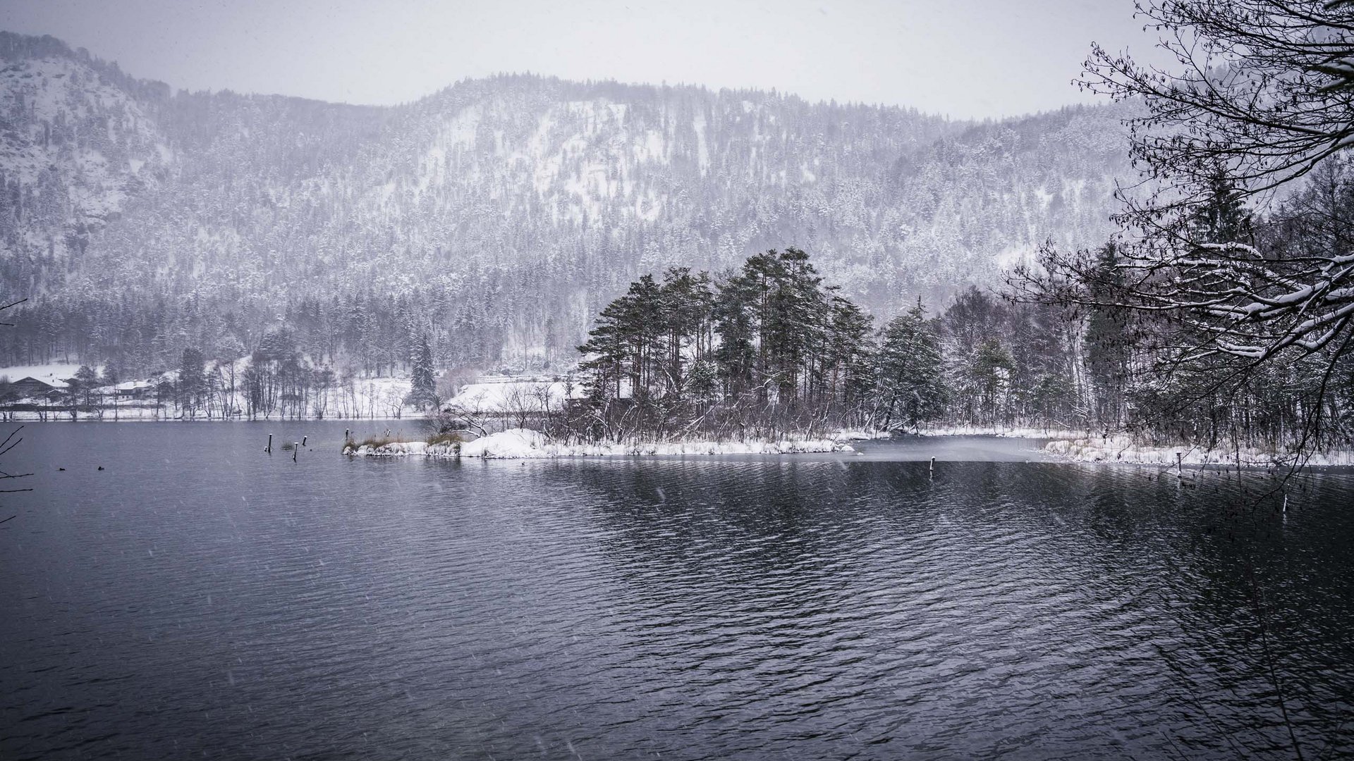 Pictures of gentle eco-tourism in the Alps