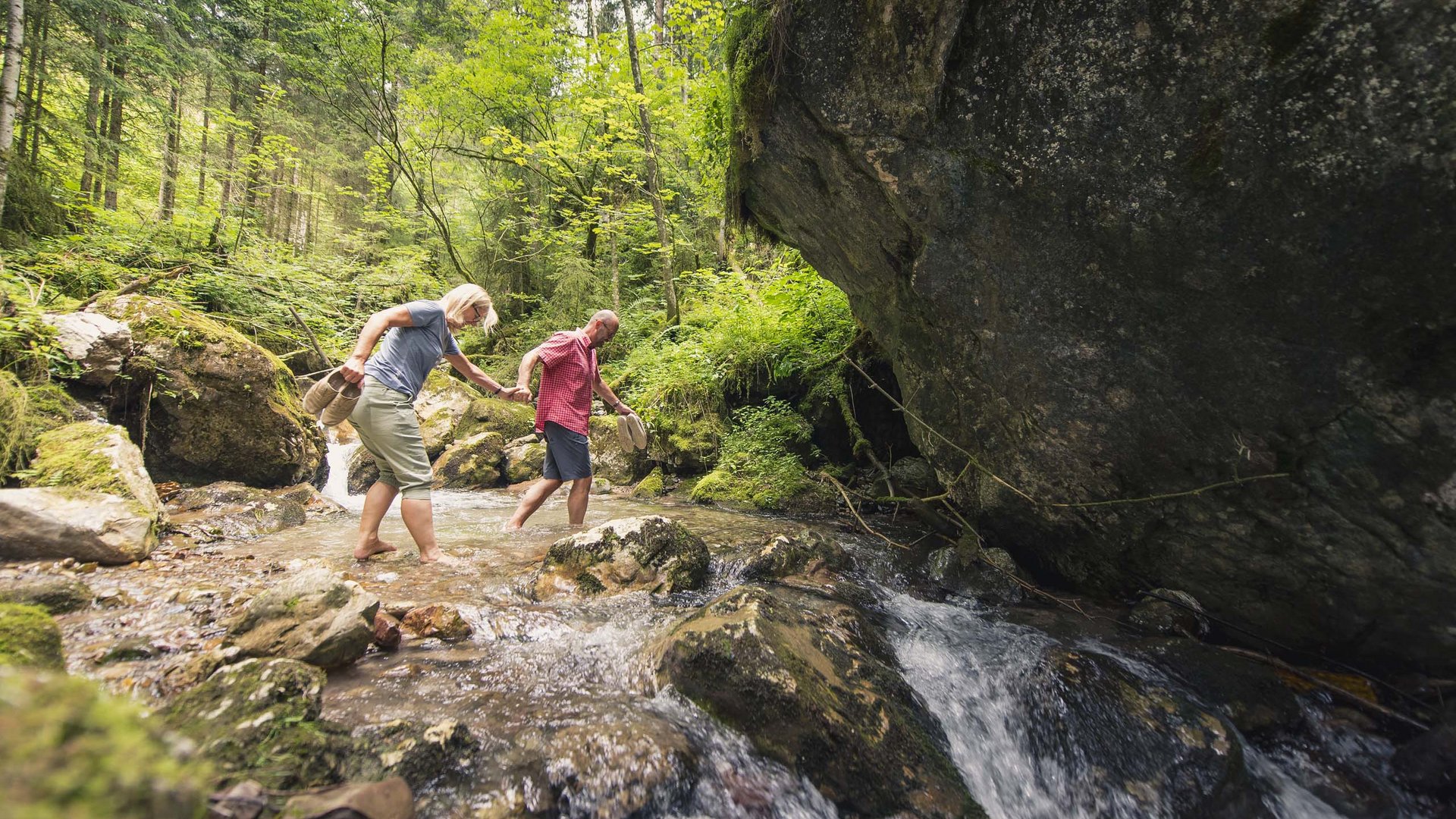 Pictures of gentle eco-tourism in the Alps