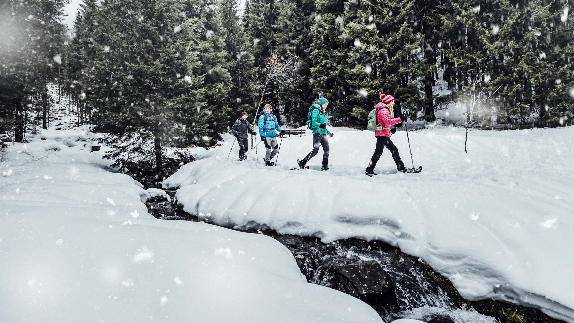 Pictures of gentle eco-tourism in the Alps