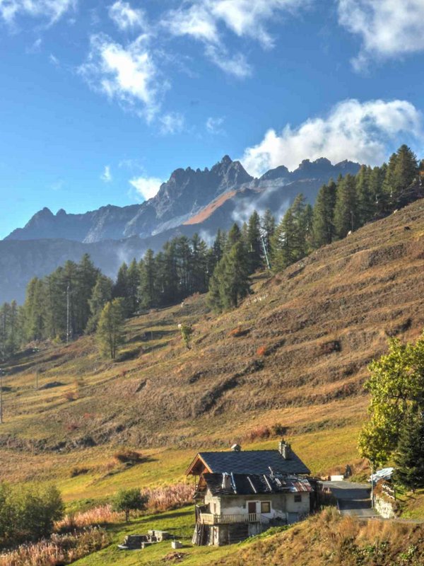 Chamois: der Zufluchtsort