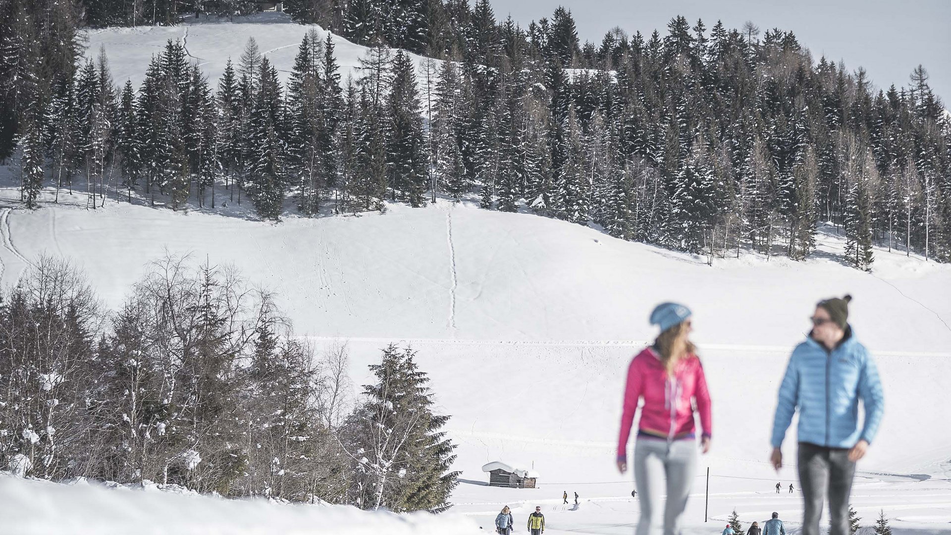 Pictures of gentle eco-tourism in the Alps