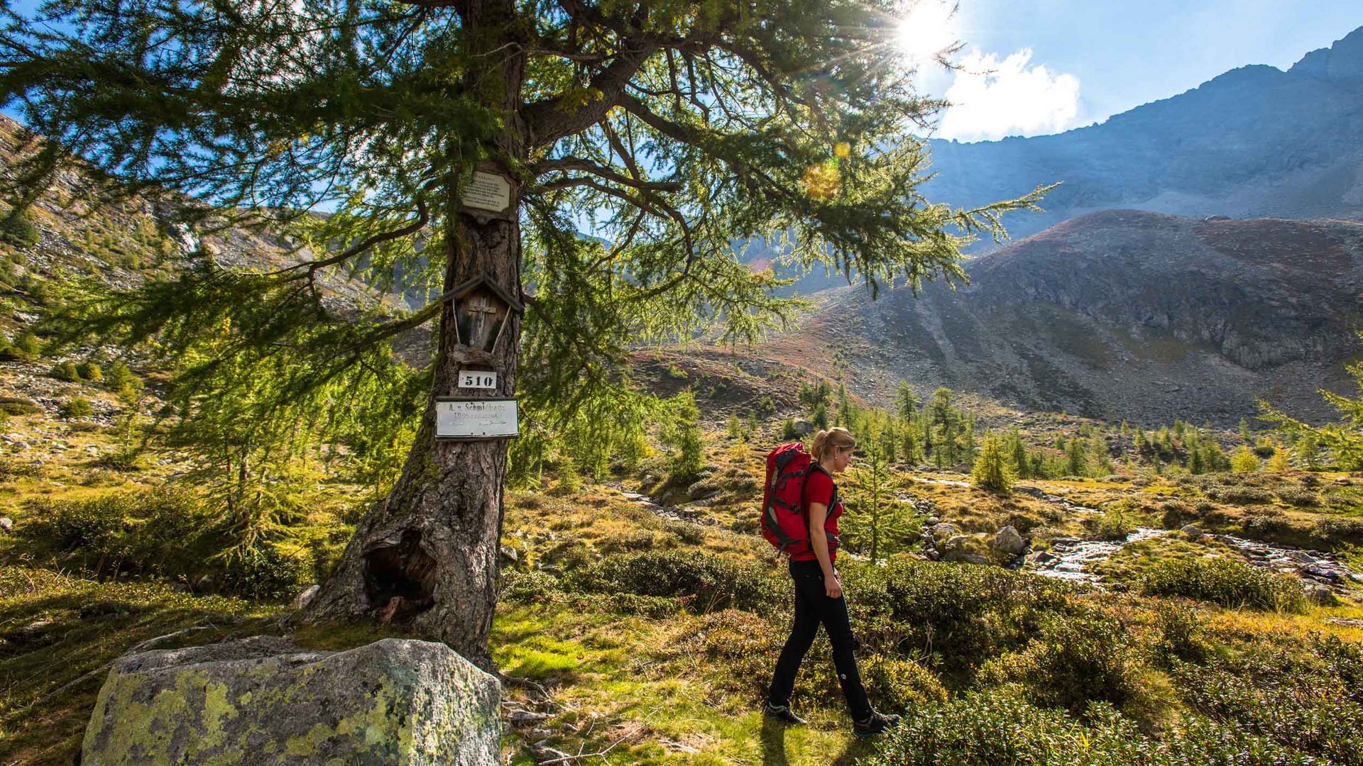 Pictures of gentle eco-tourism in the Alps