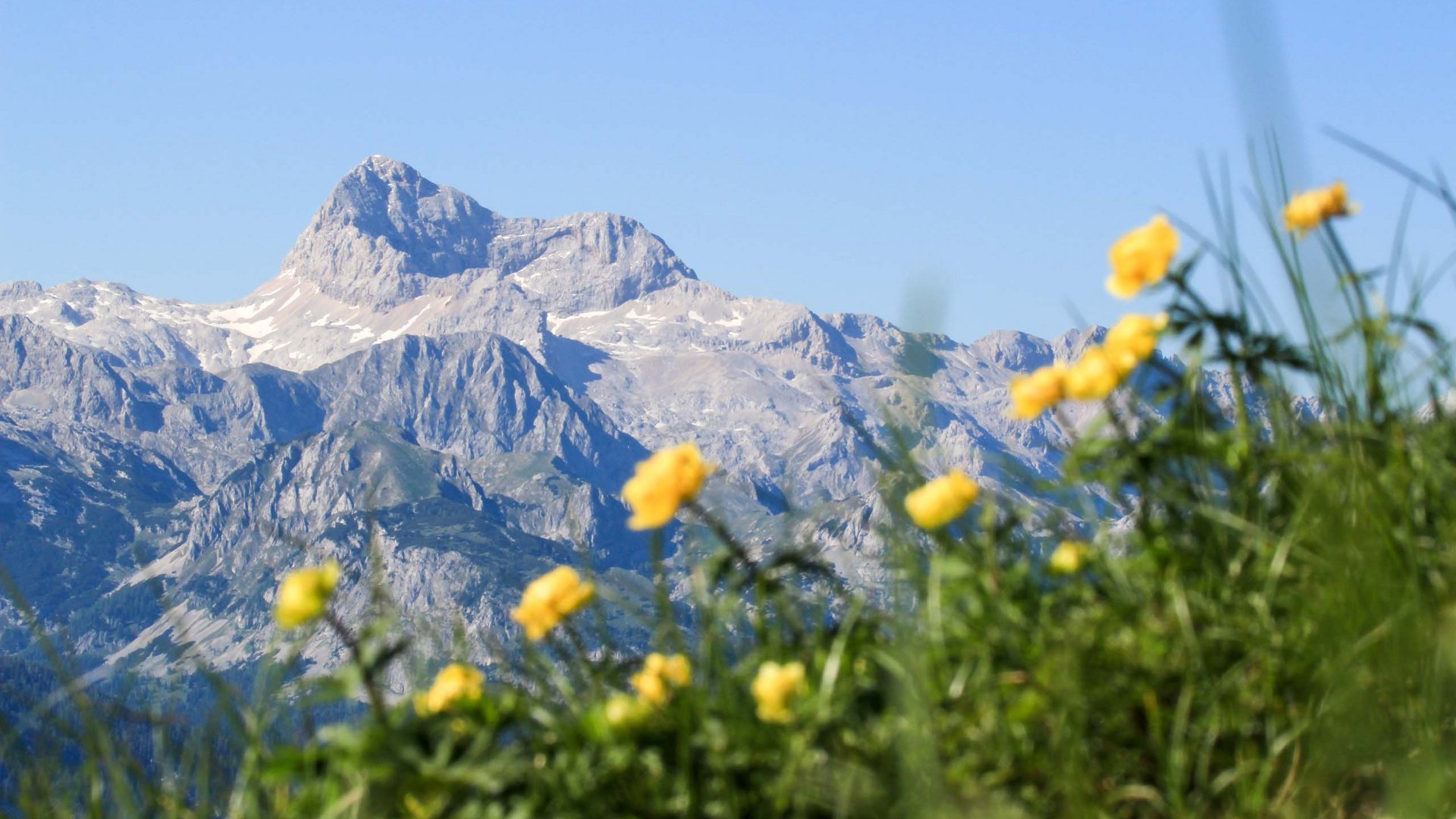 Pictures of gentle eco-tourism in the Alps